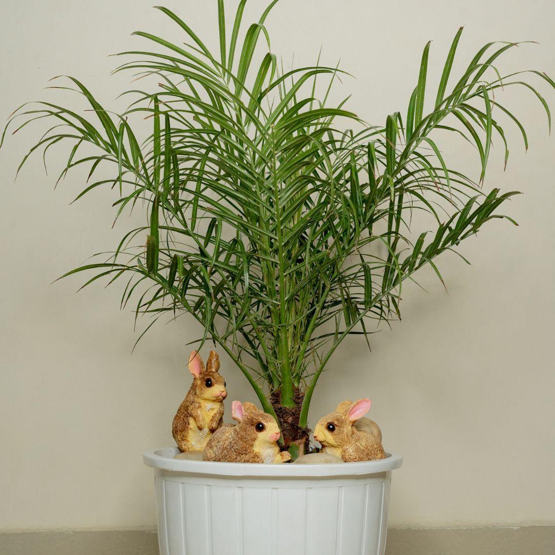 Rabbit Sculptures (Set of 3) - The Decorshed