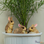 Rabbit Sculptures (Set of 3) - The Decorshed