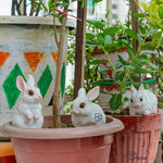 Rabbit Sculptures (Set of 3) - The Decorshed