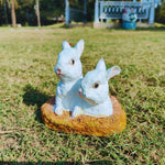 Rabbit from Hole for garden decor - The Decorshed