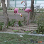 Red Rose Flamingo for Weeding N Birthday Decorcoration - The Decorshed