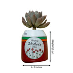 Terracotta Pot for Garden Decor - The Decorshed