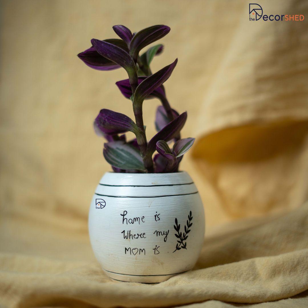 Terracotta pot for home decor - The Decorshed
