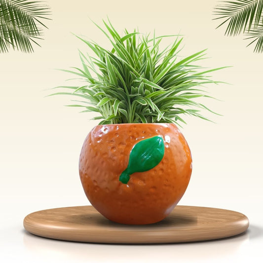 Fruits Planters for Garden Decor