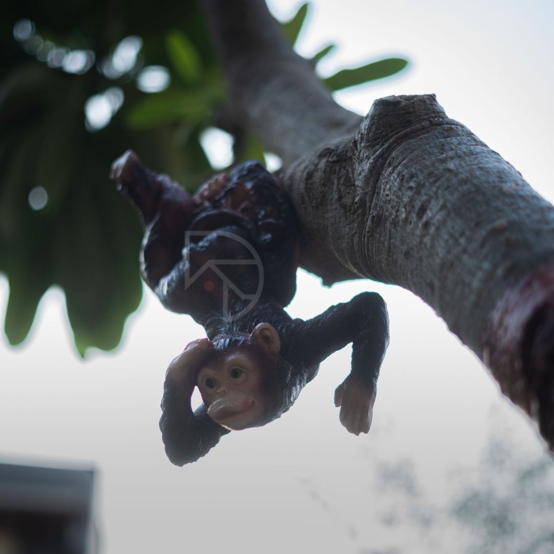 Hanging Monkey on Tree