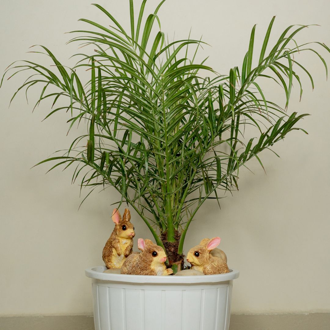 Rabbit Sculptures (Set of 3)