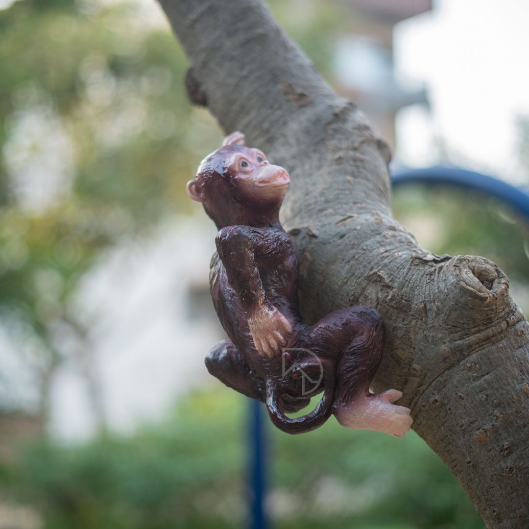 Hanging Monkey on Tree