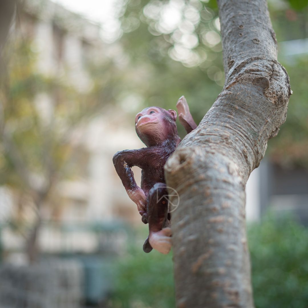 Hanging Monkey on Tree