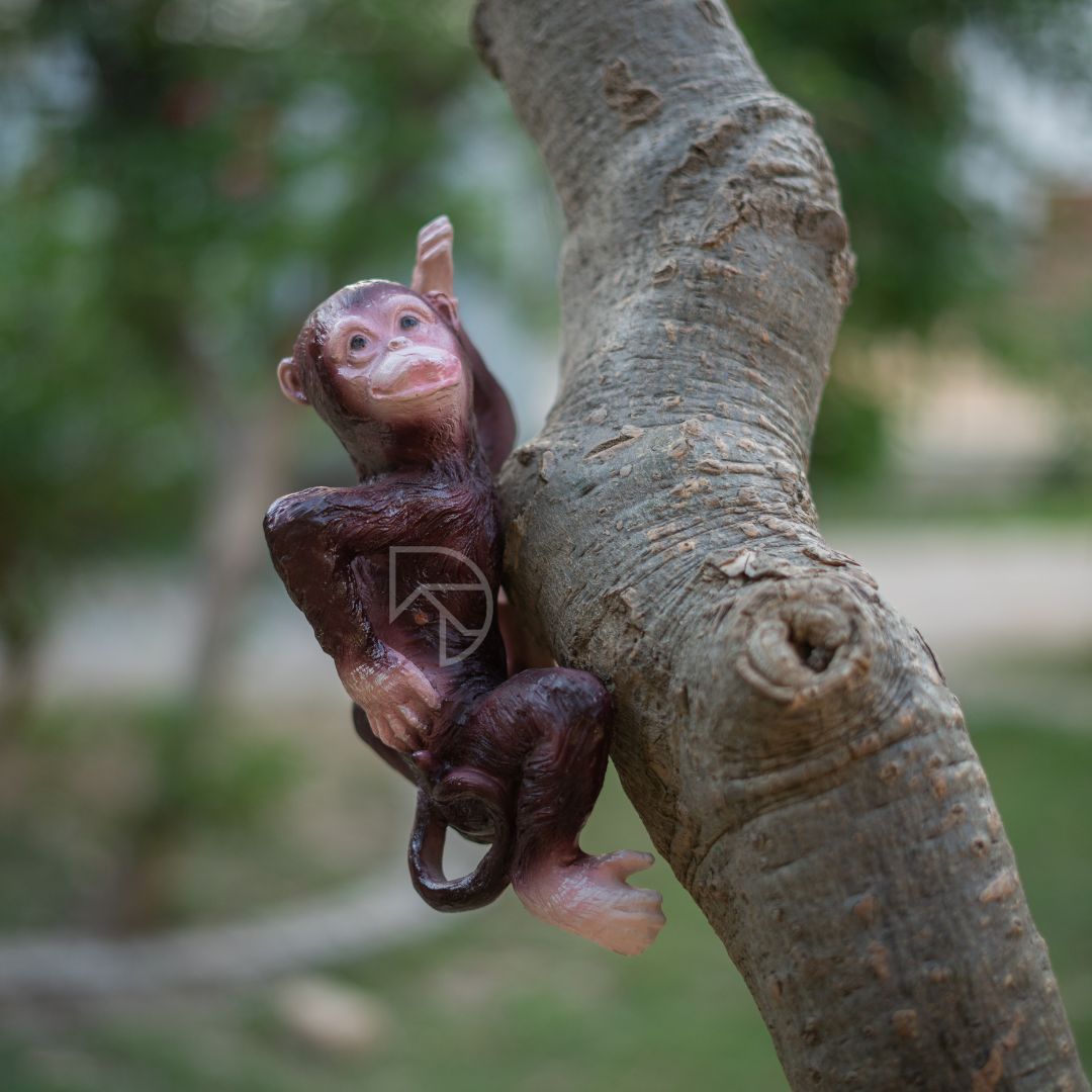 Hanging Monkey on Tree