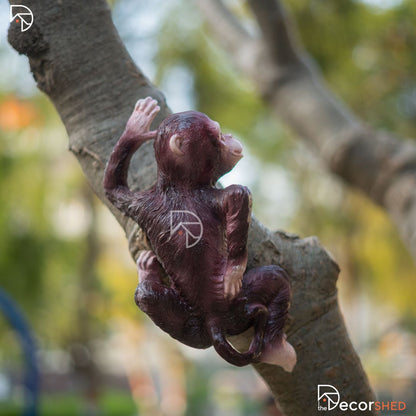 Hanging Monkey on Tree