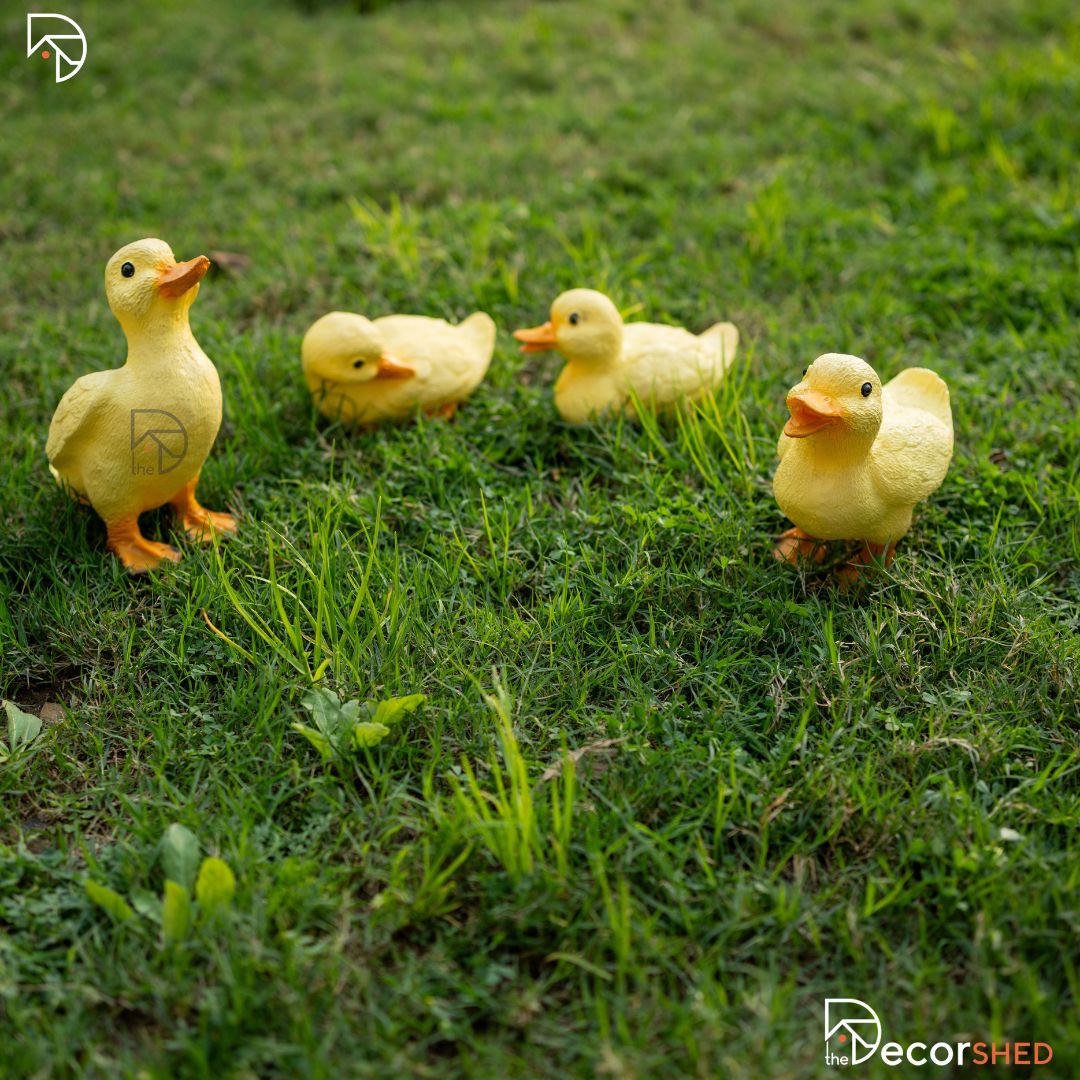 Cute Duck Family