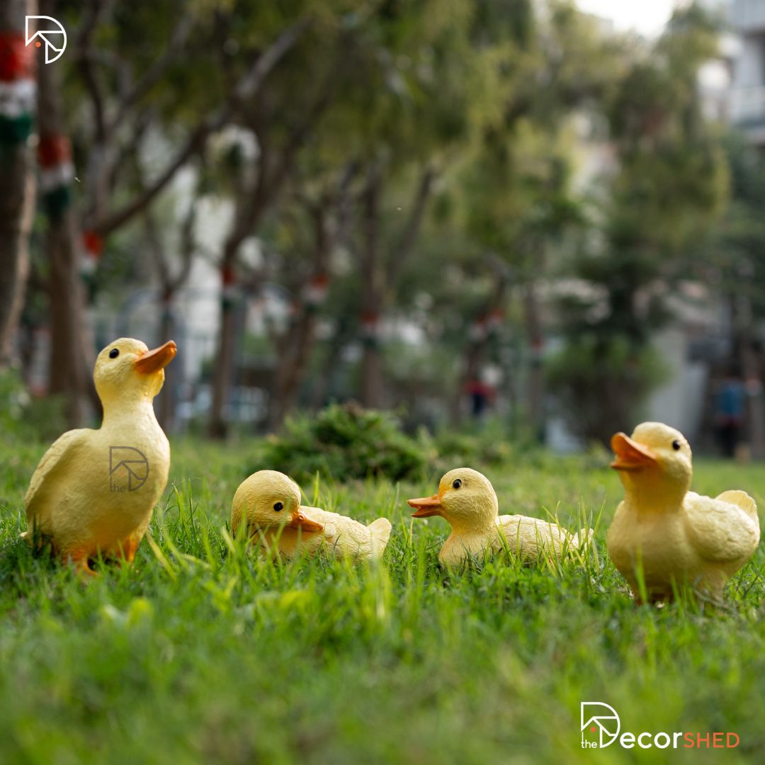 Cute Duck Family (Set of 4)