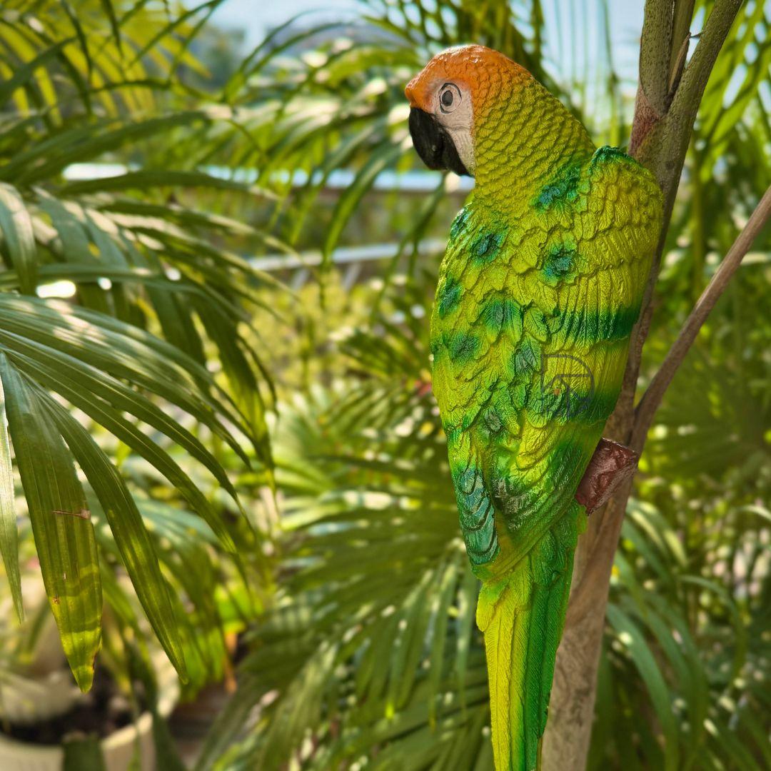 Wall Parrot - The Decorshed