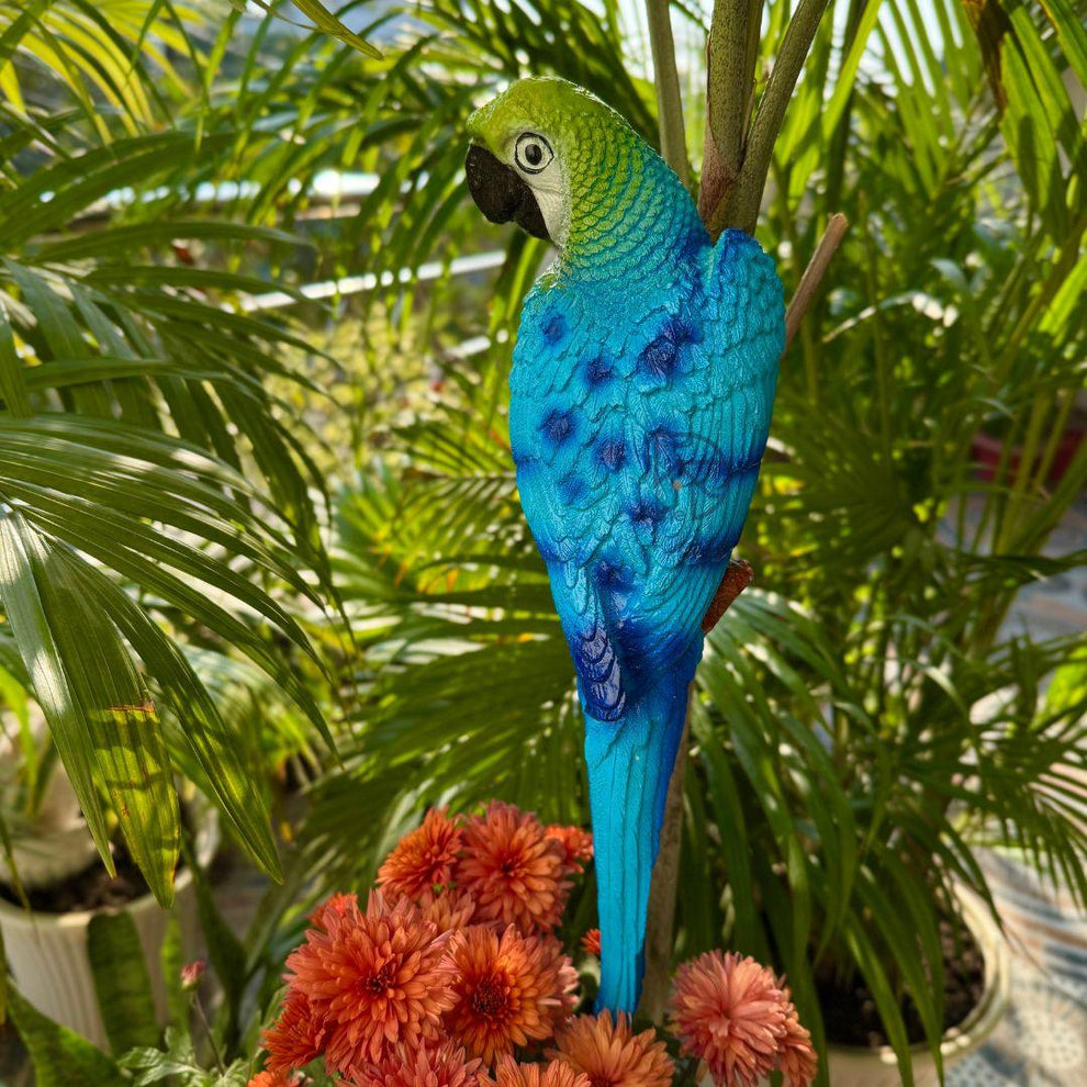 Parrot Colour Wall