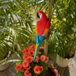 Wall Parrot - The Decorshed