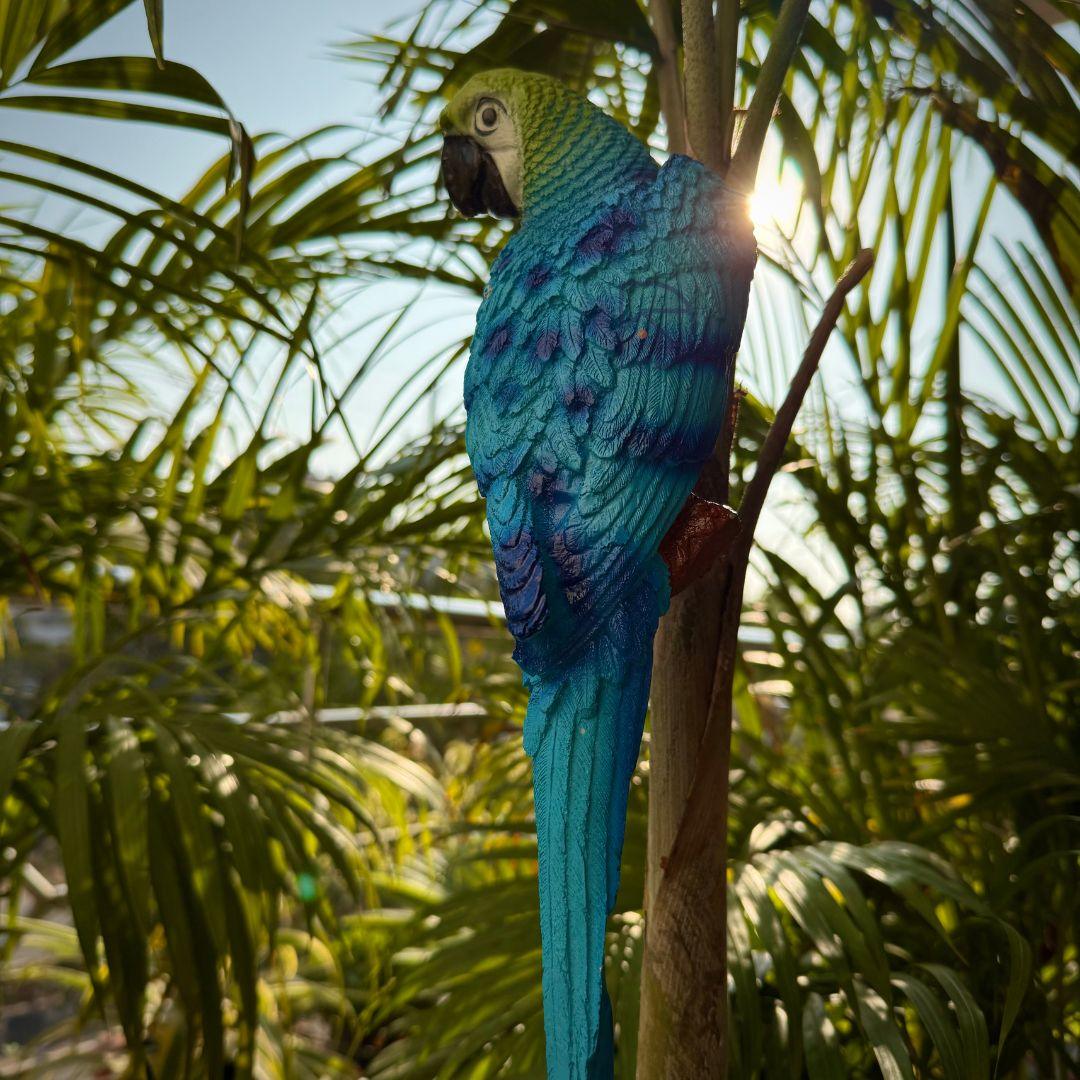 Wall Parrot - The Decorshed