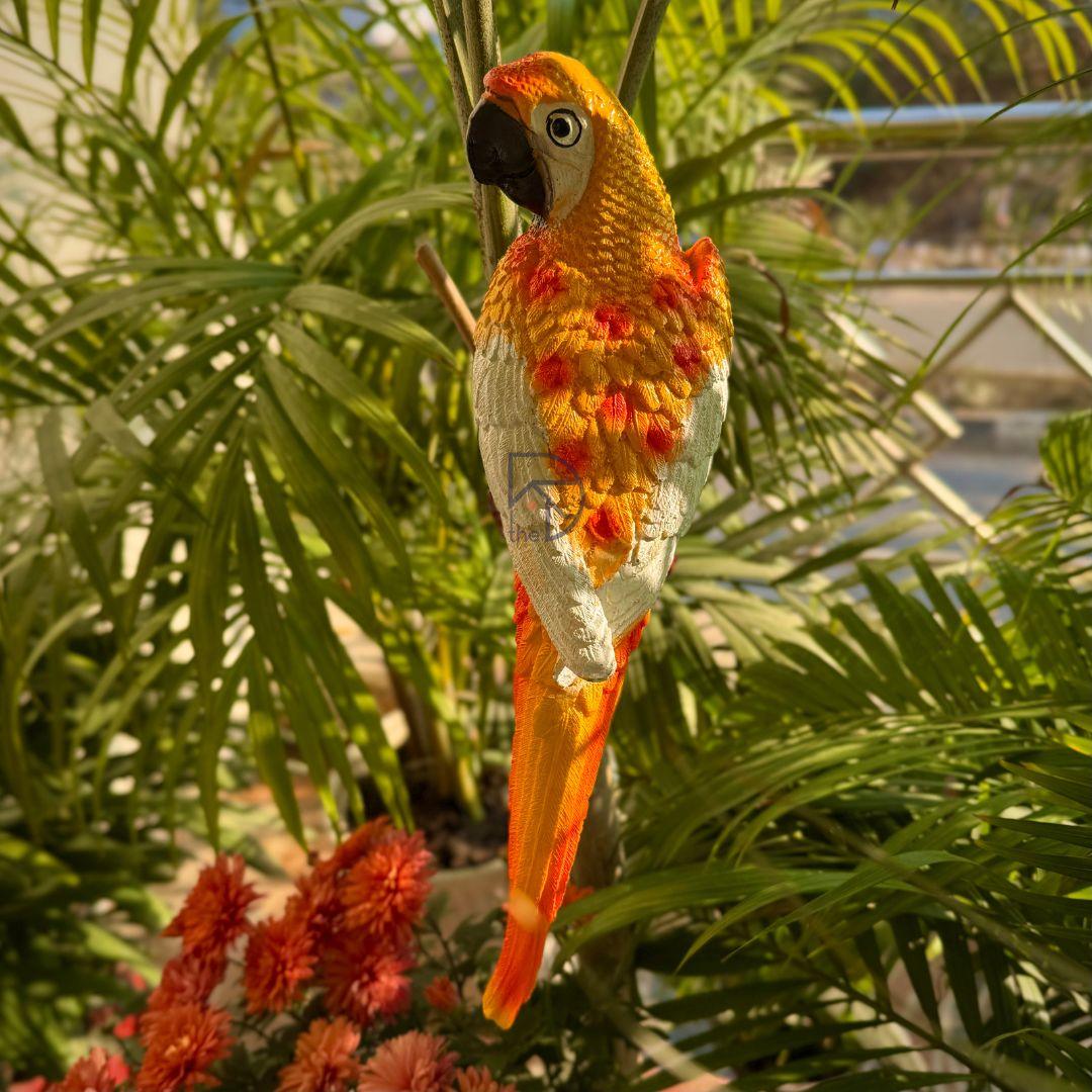 Wall Parrot - The Decorshed