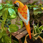 Wall Parrot - The Decorshed