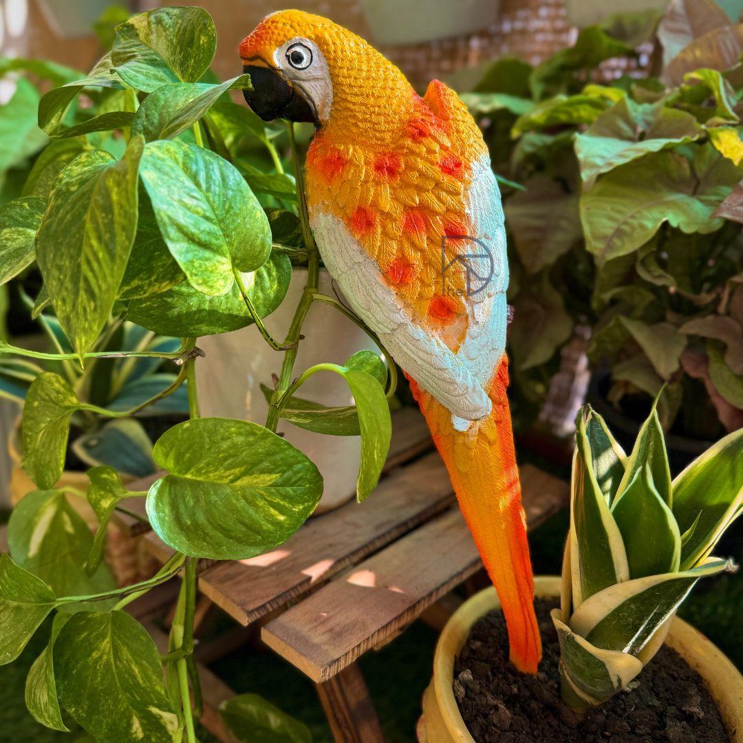 Wall Parrot - The Decorshed