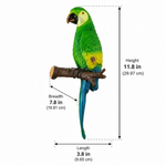 Wall Parrot on Wood for Garden Decor