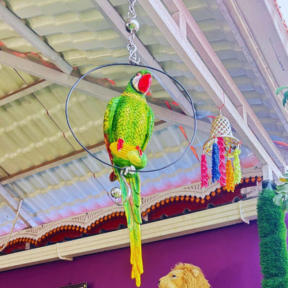 Big Ring Parrot For Garden Decor