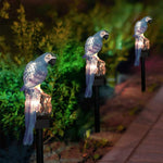 Solar Parrot Garden Light for Outdoor Decor & Pathway Lighting