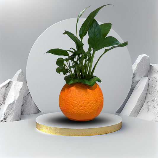 Orange Shape Planter
