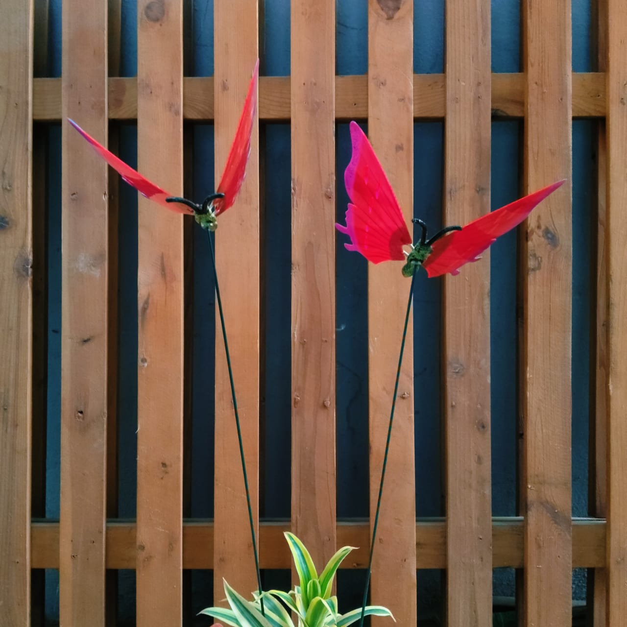 Flying Butterfly Garden Stakes for Pots & Beds — Set of 2