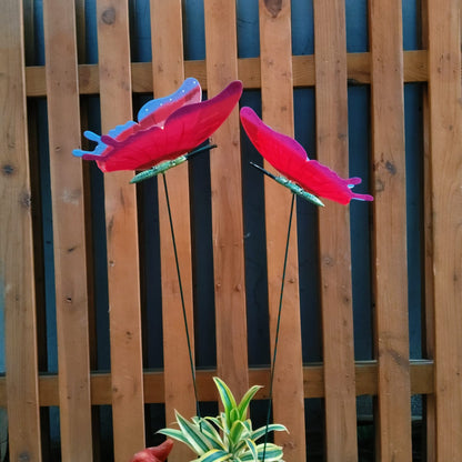Flying Butterfly Garden Stakes for Pots & Beds — Set of 2
