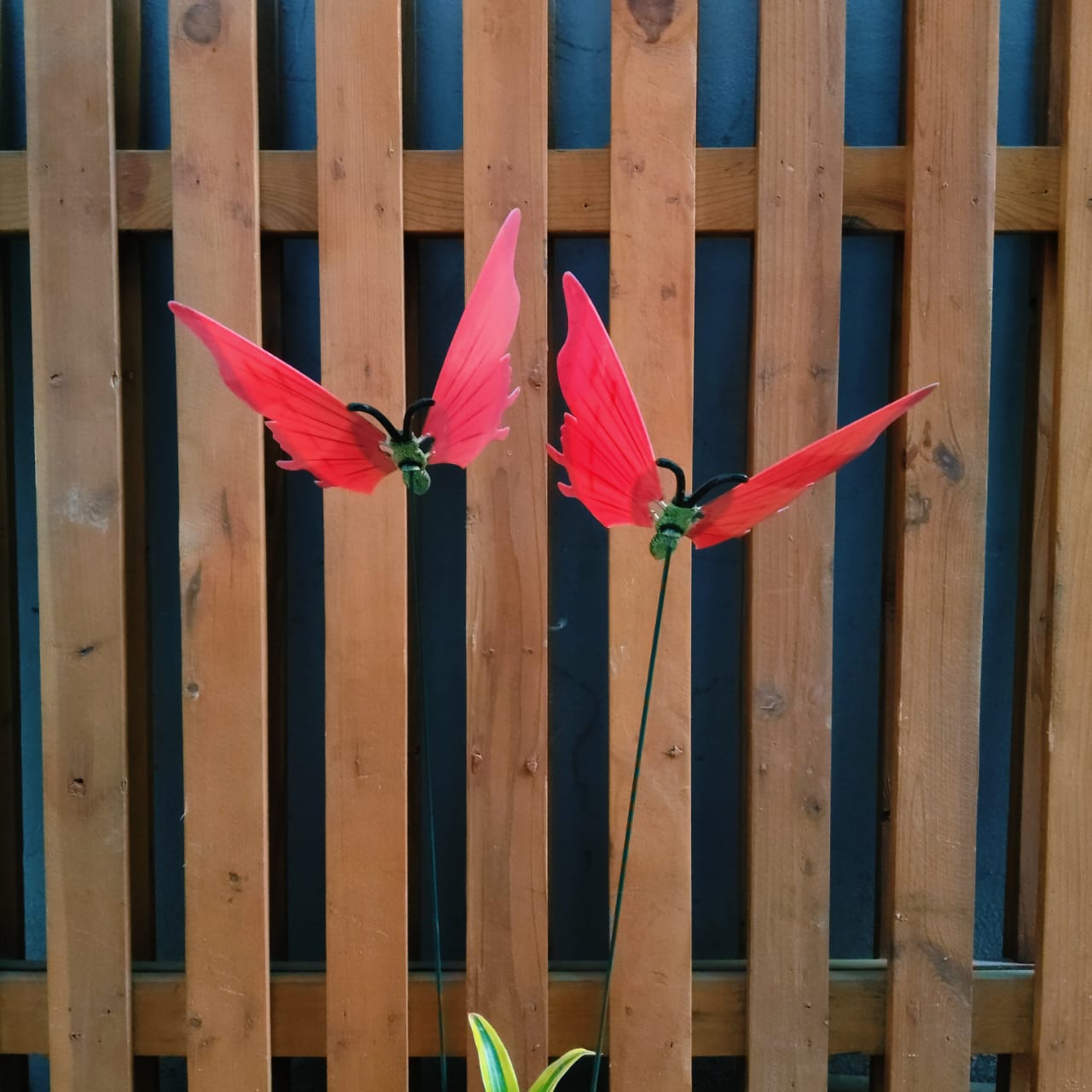 Flying Butterfly Garden Stakes for Pots & Beds — Set of 2