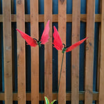 Flying Butterfly Garden Stakes for Pots & Beds — Set of 2