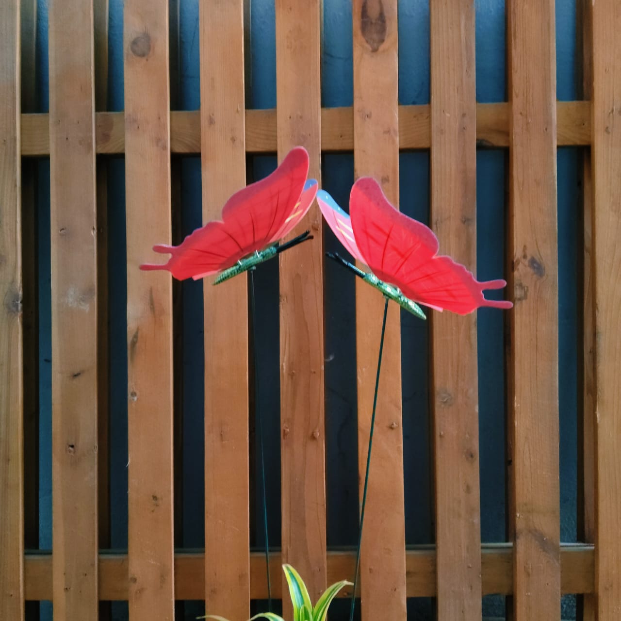 Flying Butterfly Garden Stakes for Pots & Beds — Set of 2