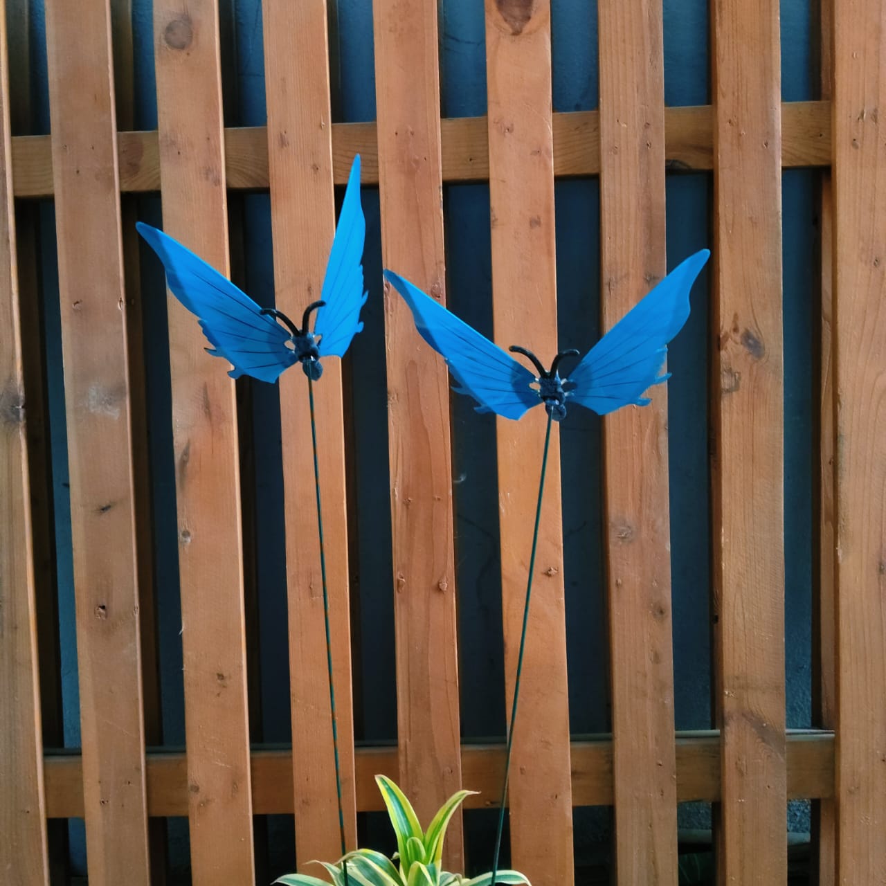 Flying Butterfly Garden Stakes for Pots & Beds — Set of 2