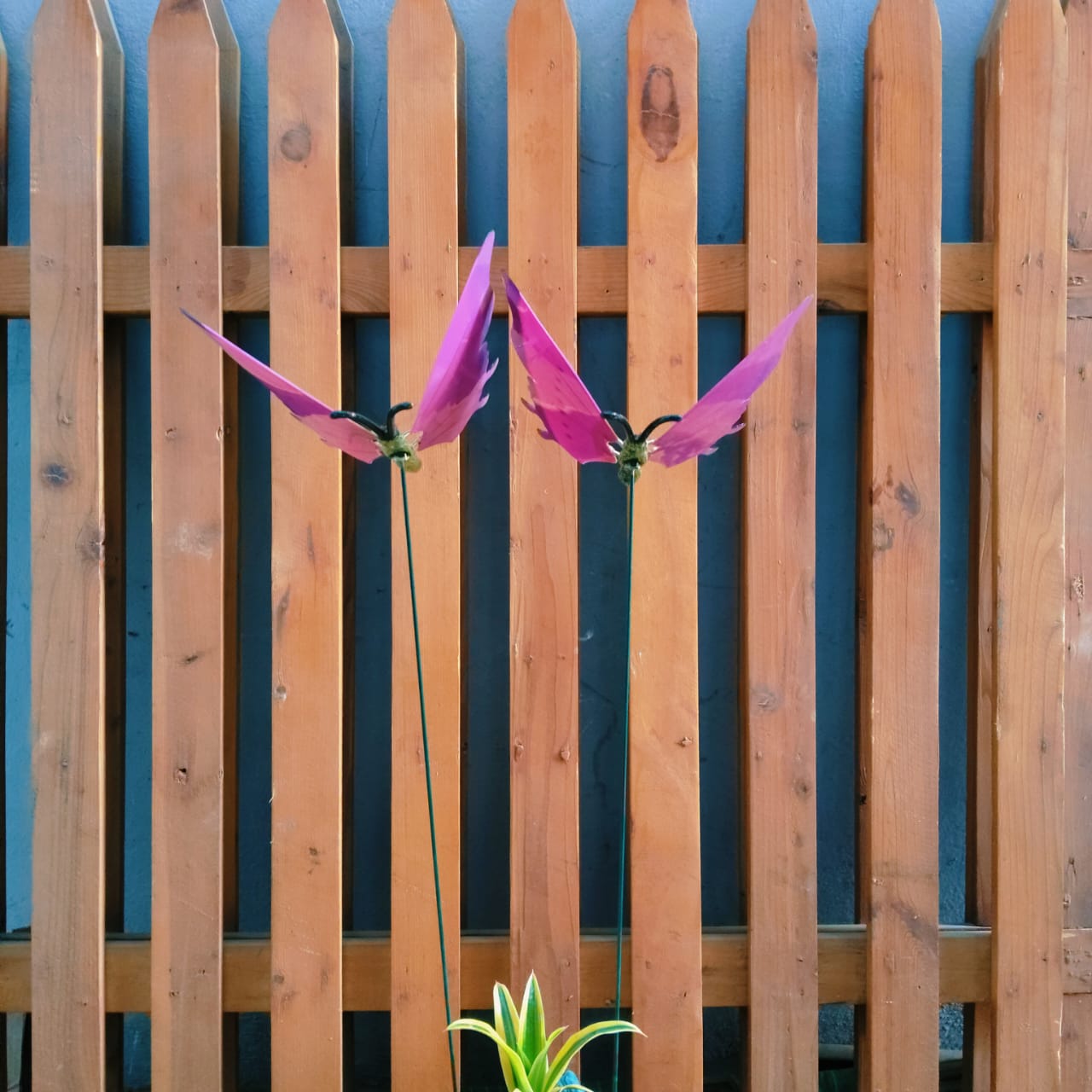 Flying Butterfly Garden Stakes for Pots & Beds — Set of 2
