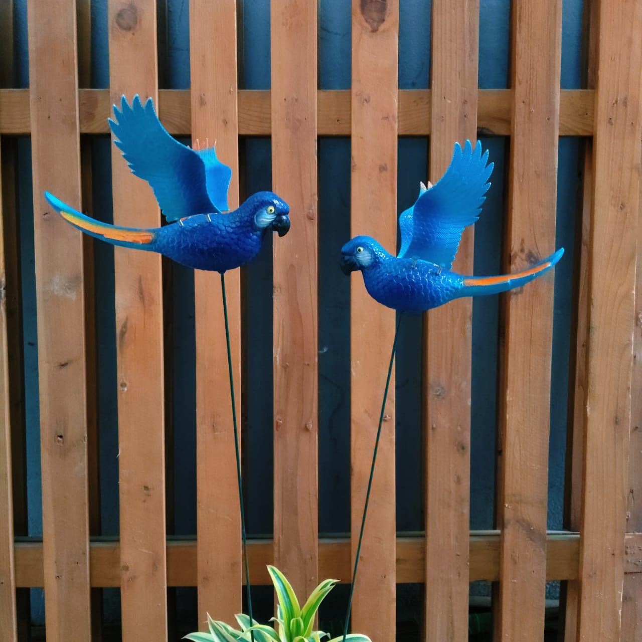 Parrot Garden Stake Decor | Bird Plant Pot Stakes (Set of 2)