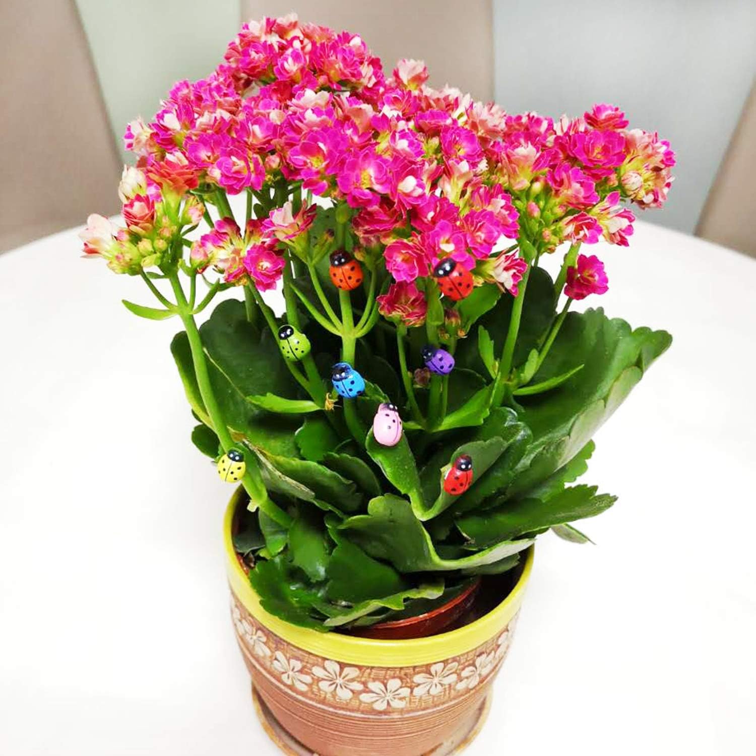 Miniature Ladybug for Plant Leave Decor (Pack of 50)