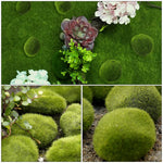 Miniature Green Foam Moss Stone for Bonsai Decor (Pack of 10 Different Size)