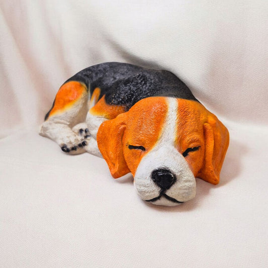 Sleeping Beagle Dog