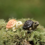Miniature Turtle for Bonsai Tray decor(Pack of 10 )