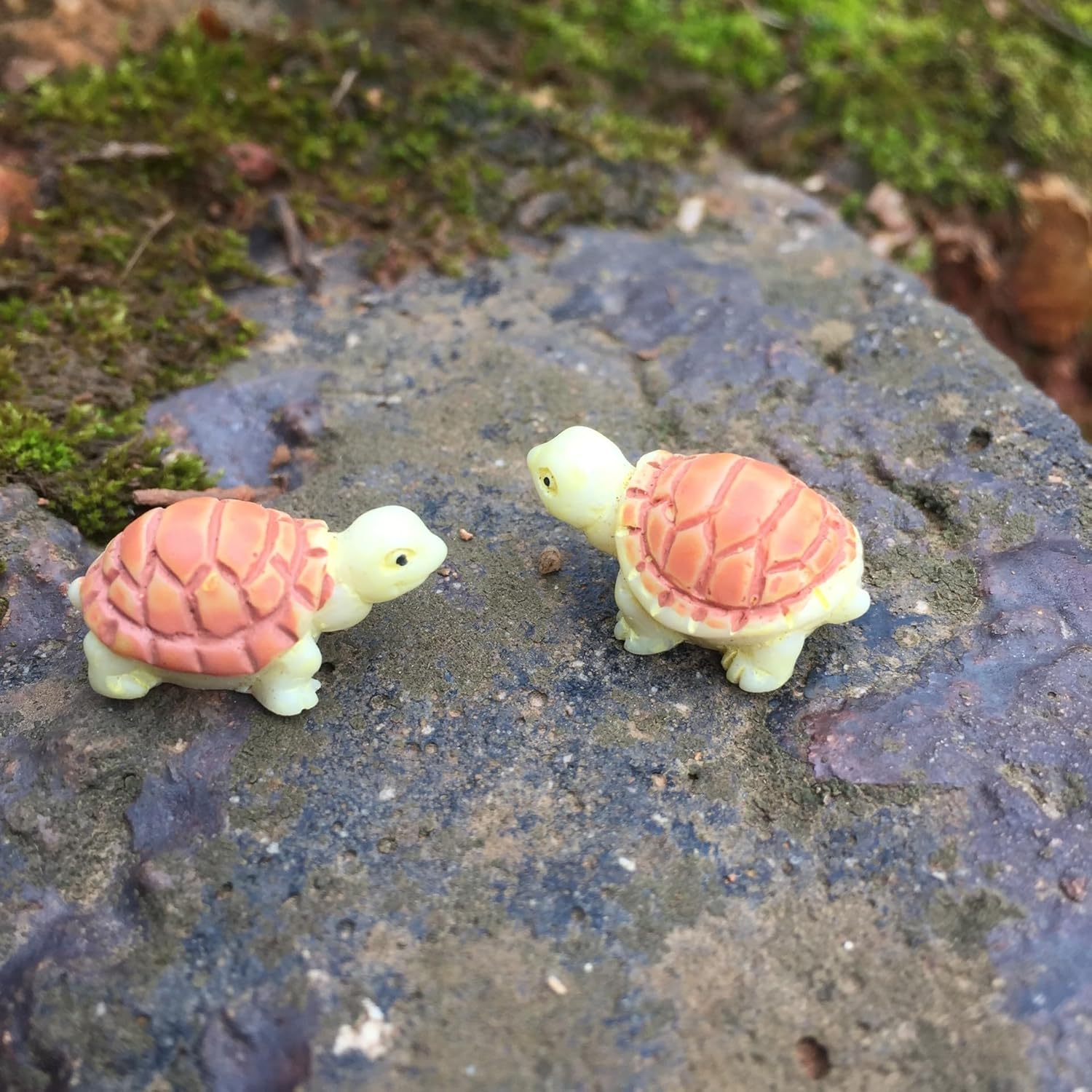 Miniature Turtle for Bonsai Tray decor(Pack of 10 )