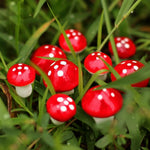 Miniature Mushroom Pin for Bonsai Tray Decor (Pack of 10)