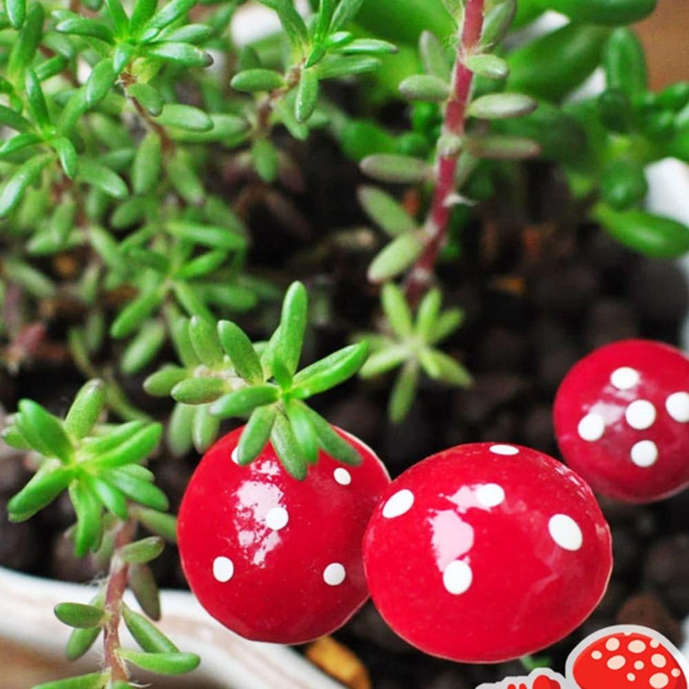 Miniature Mushroom Pin for Bonsai Tray Decor (Pack of 10)