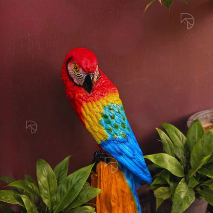 Large Parrot on Wood Log