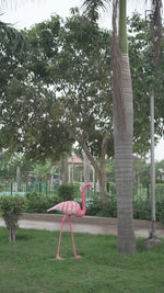 Flamingo for Garden Decor (5feet)