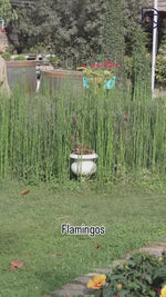 Flamingo Couple Decorative Statues for Home & Garden