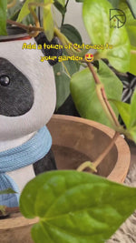 Joyful Panda Bust Planter – Smiling Panda with Gray-Blue Scarf