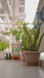 Balcony Garden Bird Feeder