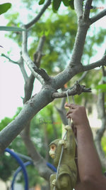 Hanging Monkey Figure