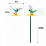 Big Eye Eagle Birds (Set of 2)