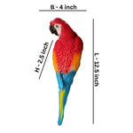 Wall Parrot